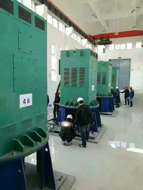 隆安某污水处理厂使用我厂的立式高压电机安装现场