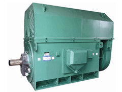 隆安Y系列6KV高压电机